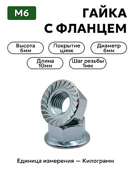 гайка 4599531818 п29 м6 с фланцем в Нижнем Новгороде